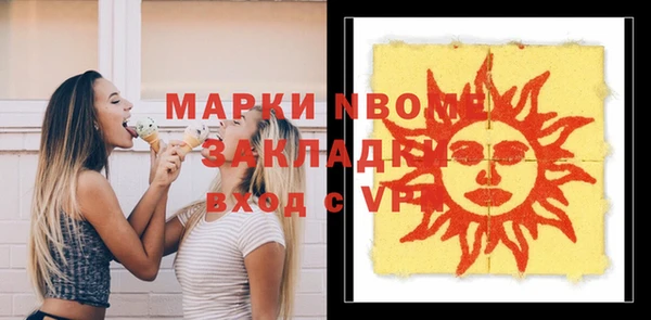 индика Новодвинск