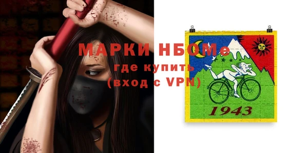 индика Новодвинск