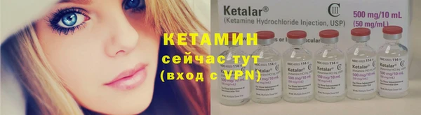 индика Новодвинск