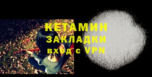 индика Новодвинск