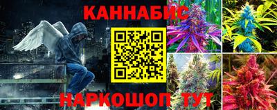эйфоретик Камышлов