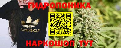 стафф Кандалакша