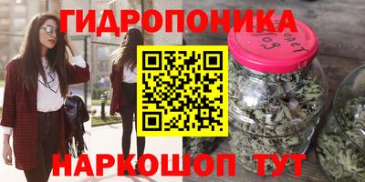 стафф Кандалакша