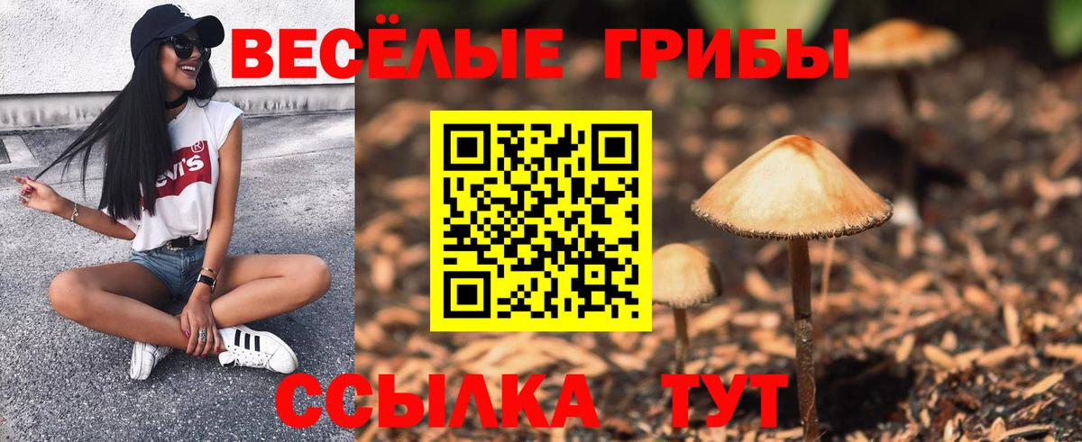 Галлюциногенные грибы мицелий Менделеевск